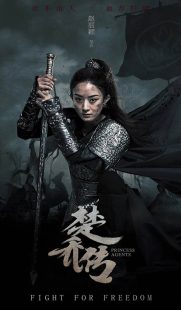 دانلود سریال Princess Agents 2017