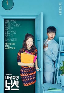 دانلود سریال Introverted Boss 2017